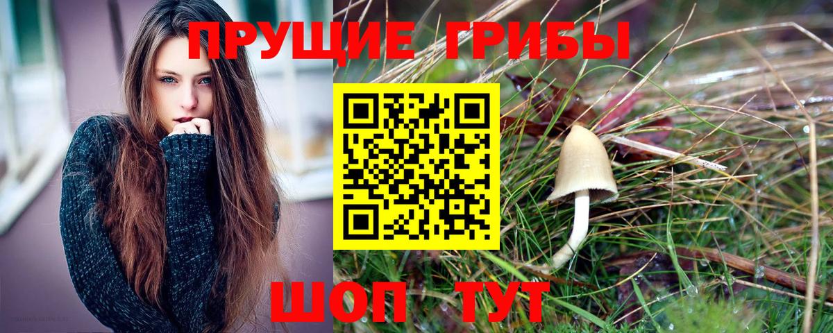 Псилоцибиновые грибы ЛСД Камень-на-Оби