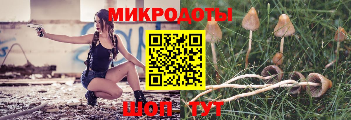 Псилоцибиновые грибы прущие грибы  Галлюциногенные грибы MAGIC MUSHROOMS  Вход с VPN  Камень-на-Оби 